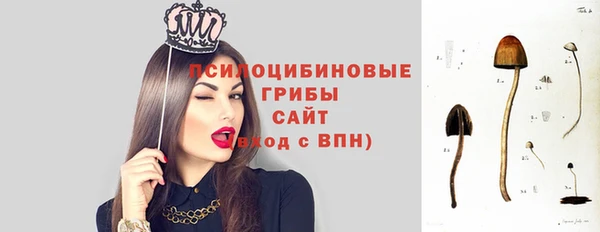 дживик Абинск