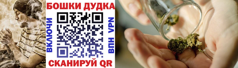 Бошки марихуана сатива  OMG ссылка  Кызыл 